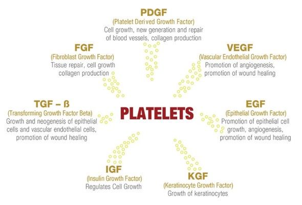 platelet growth factors